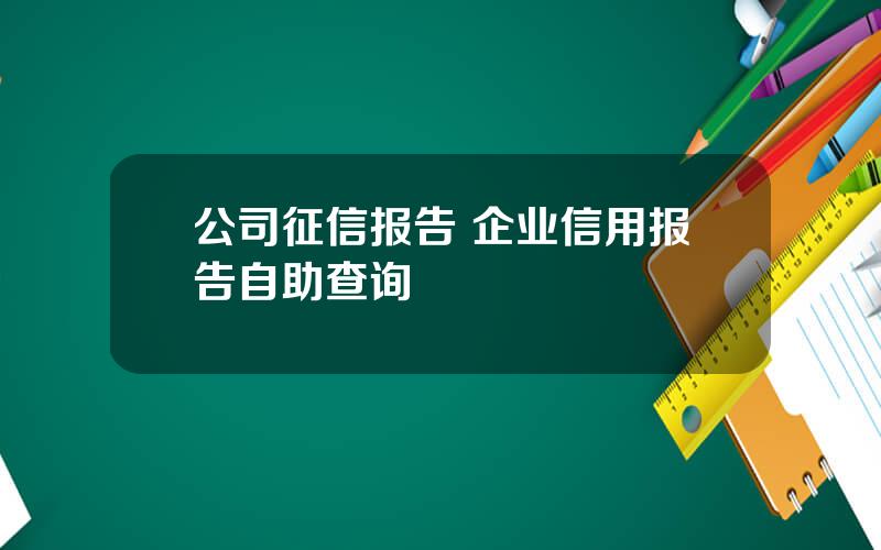 公司征信报告 企业信用报告自助查询